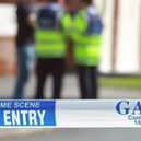 Seventh man released without charge in connection to Bray murder investigation