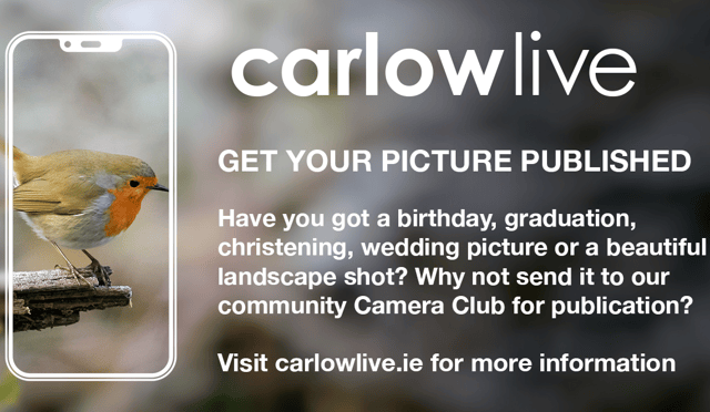 Welcome to our Carlow Camera Club
