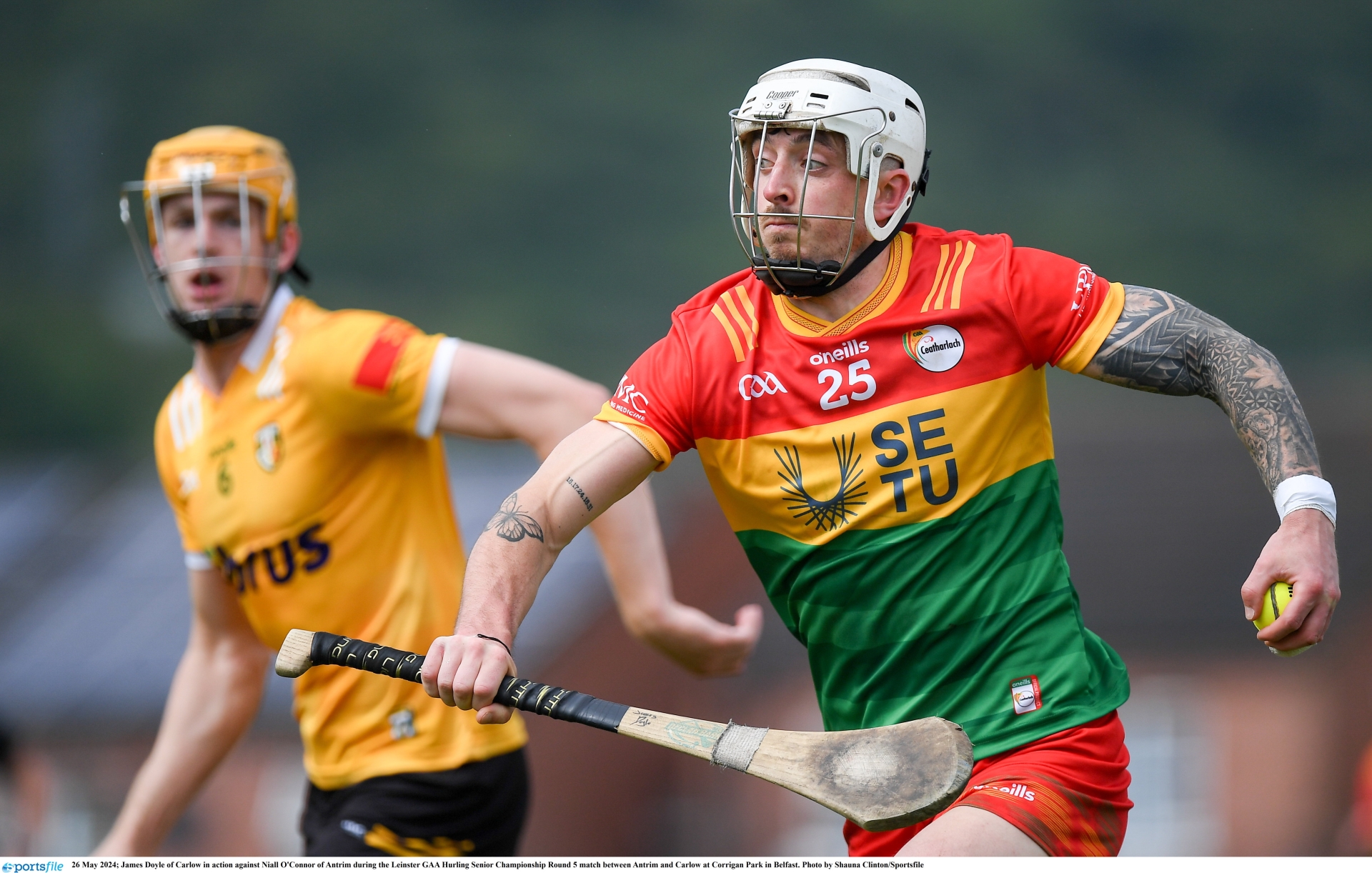 Carlow GAA News, Fixtures, Results & Updates | Carlow Live