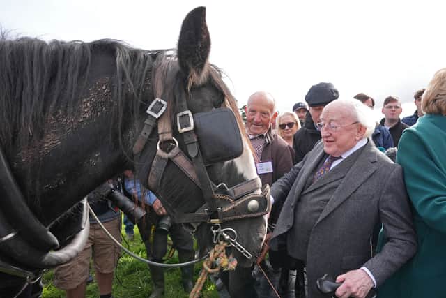 Irish President Michael D Higgins formally opened the event on Tuesday, in one of his last major public appearances before his term ends in November.