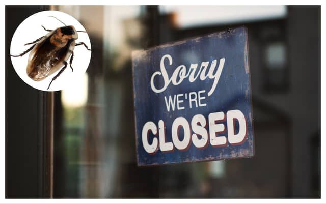 Cockroaches and rodent droppings among reasons for Closure Orders on food businesses in August