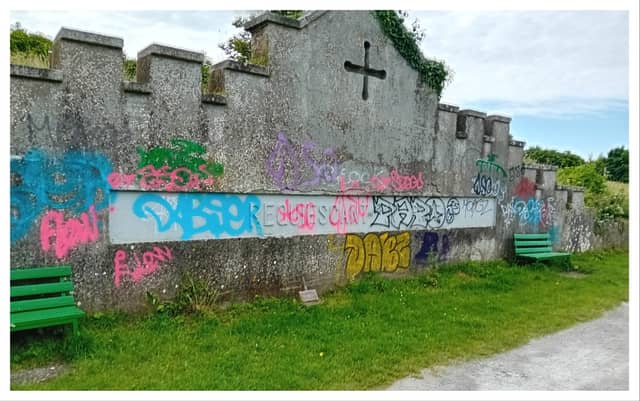 Photo shared via Carlow Tidy Towns Facebook page.