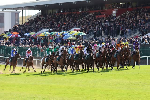 GIVEAWAY TIME: Win tickets to Punchestown Festival 2025 in Kildare