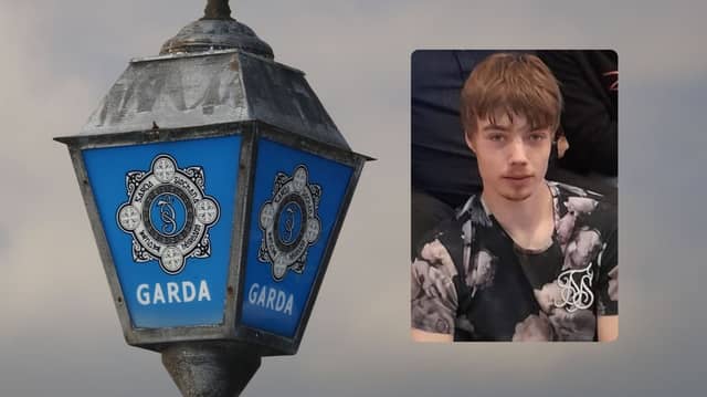 Missing: Dylan McLoughlin, 27, was last seen in County Meath on Friday