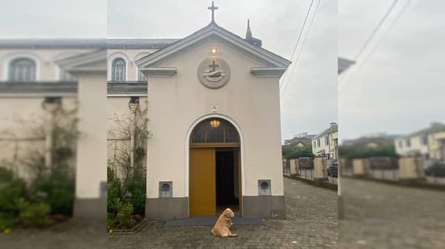 Picture: Fr Willie Purcell