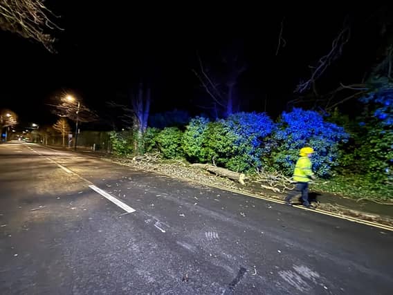A large number of trees have been knocked across the country | PICUTRE: X/@DubFireBrigade