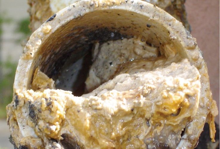 Carlow people issued with drain warning ahead of Christmas period