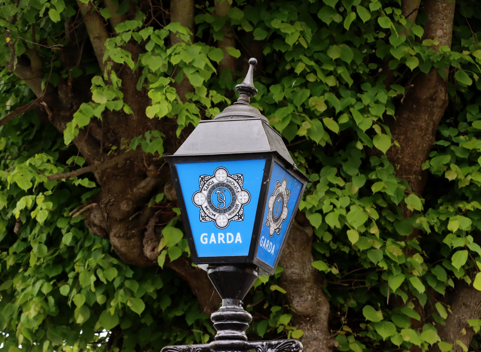 Garda continue to appeal for witnesses of fatal crash as suspect released without charge