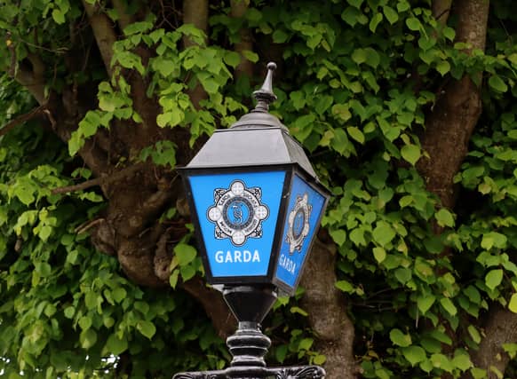 Garda continue to appeal for witnesses of fatal crash as suspect released without charge
