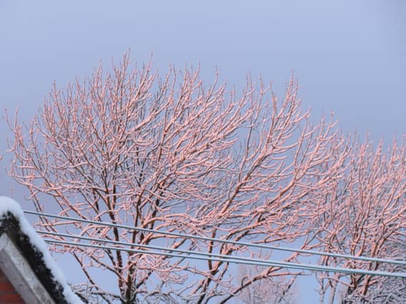 REVEALED: Counties most likely to have snowfall on Christmas Day