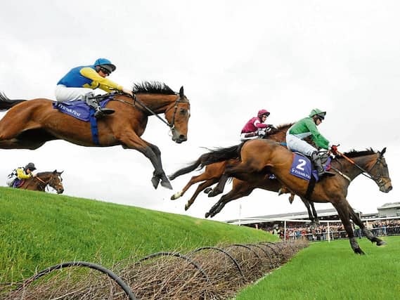 RACING: Top tips for a packed Sunday card at Punchestown