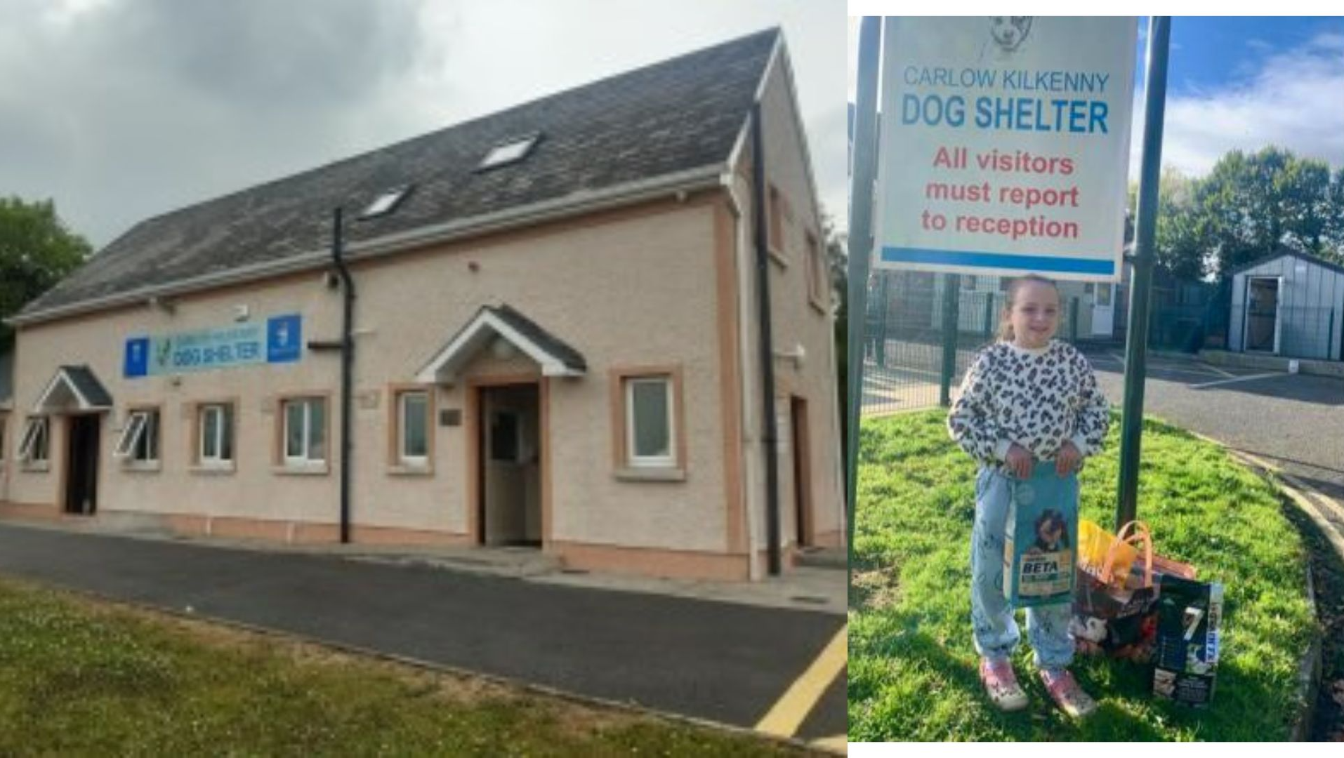 Photo: Carlow/Kilkenny Dog Shelter