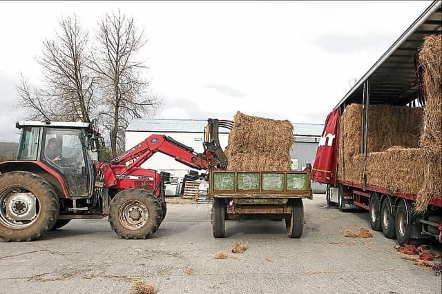 Plans by government to avert winter fodder shortage