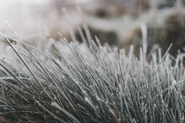 According to the latest forecast, it will be particularly chilly on Wednesday with grass frost likely in most areas overnight on Wednesday into Thursday