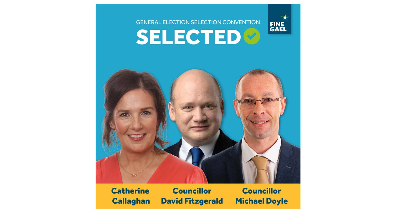 Fine Gael Selected Graphic