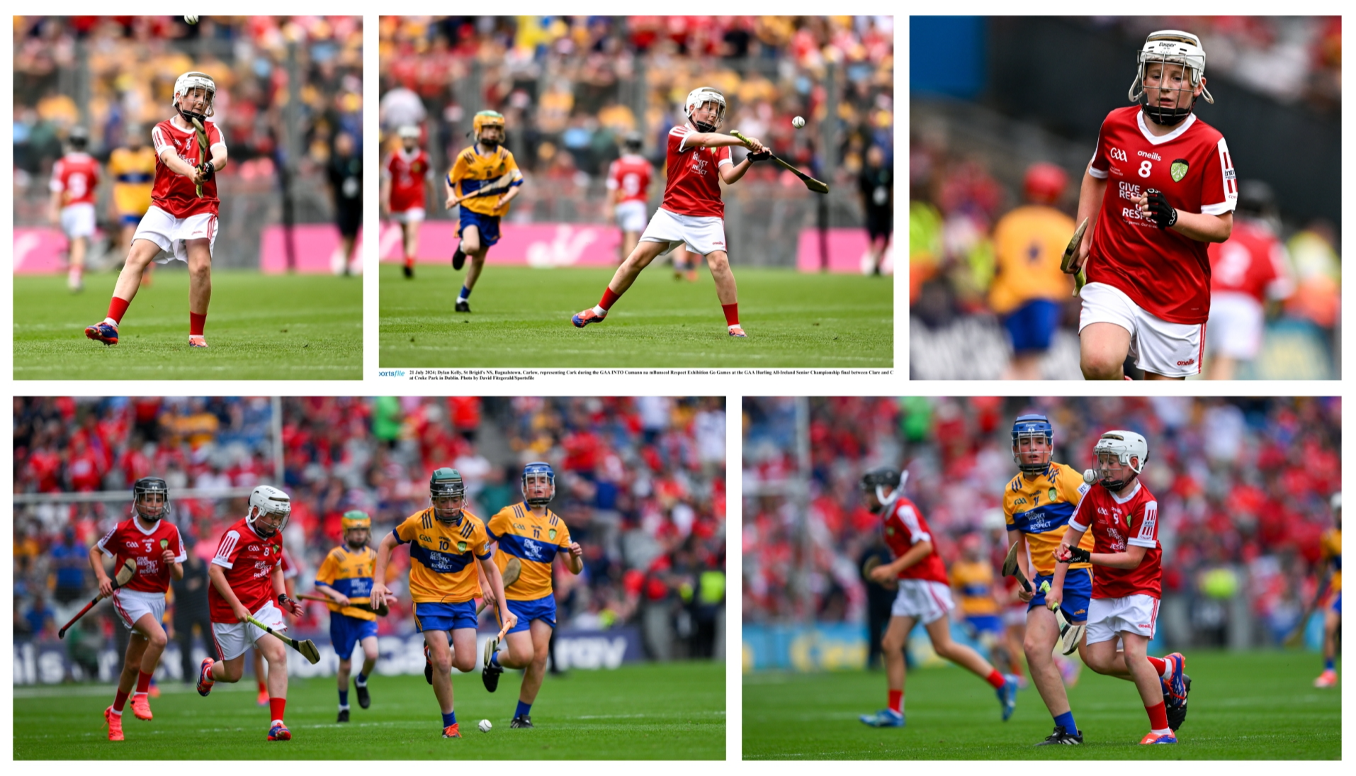 |Photo: Sportsfile