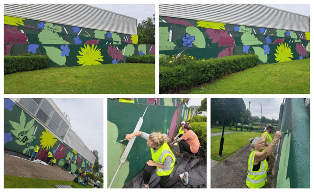 |Photo: Tullow Tidy Towns Facebook