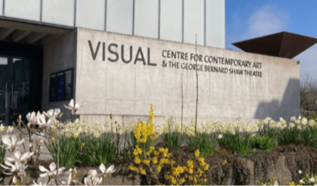 Visual Carlow