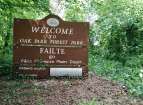 Oak Park Carlow