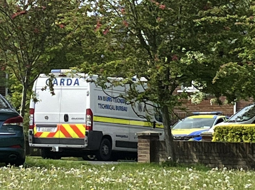 Gardaí at the scene of the incident in Sallins Park