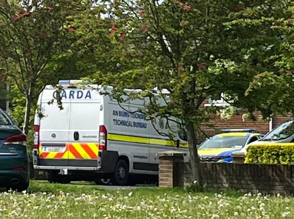 Gardaí at the scene of the incident in Sallins Park