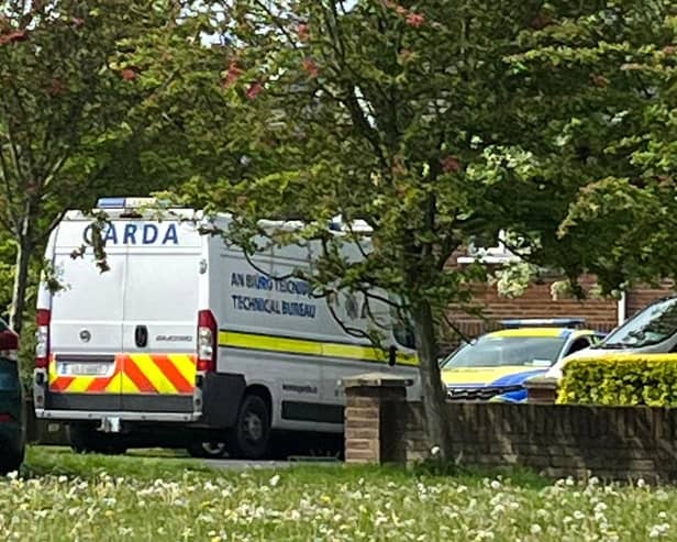 Gardaí at the scene of the incident in Sallins Park