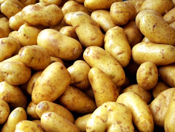 Kilkenny potato farmers in trouble