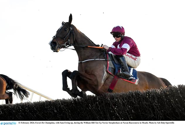 Favori De Champdou at Navan Racecourse in February PIC: Sportsfile