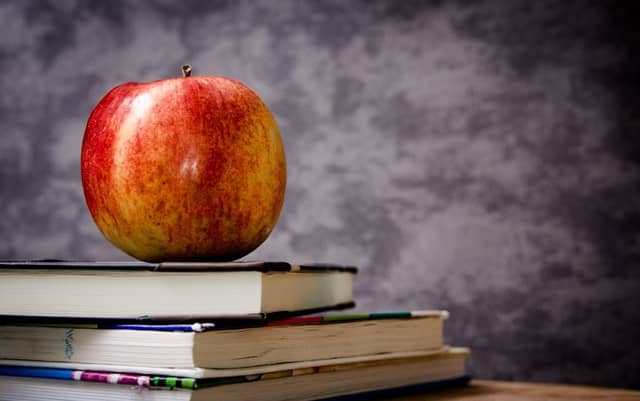 Department of Education grant just 20% of applications from schools in Carlow for funding