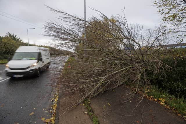Taoiseach Leo Varadkar said he is sorry to hear about the impact of Storm Debi on parts of Ireland, adding it is the Government’s intention to expand a support scheme for businesses affected by the severe weather on Monday.