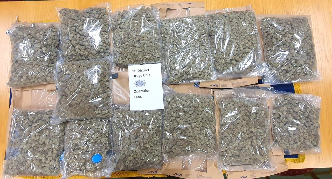 Arrest made as gardaí seize €250,000 worth of cannabis herb