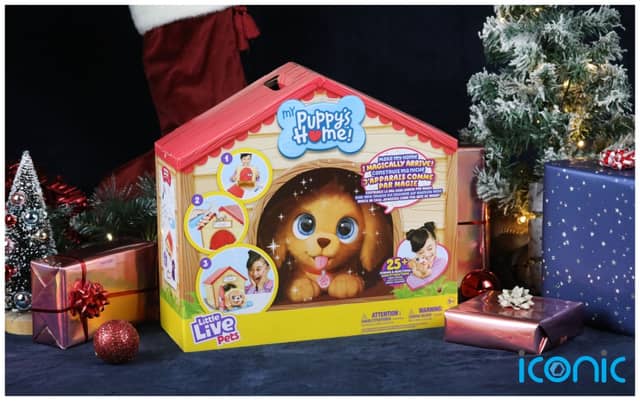 This year's must have toys range from €8.99 to €154.99
