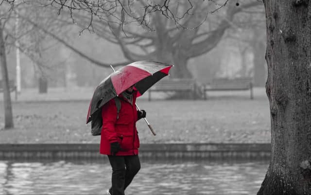 Rather wet and windy as a band of rain moves over from the south