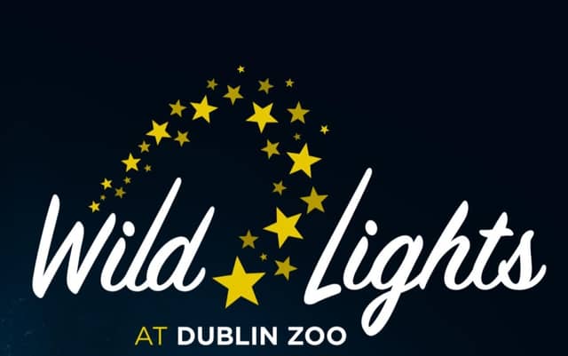 Events in Ireland this winter: Dublin Zoo's 'Wild Lights' return date revealed