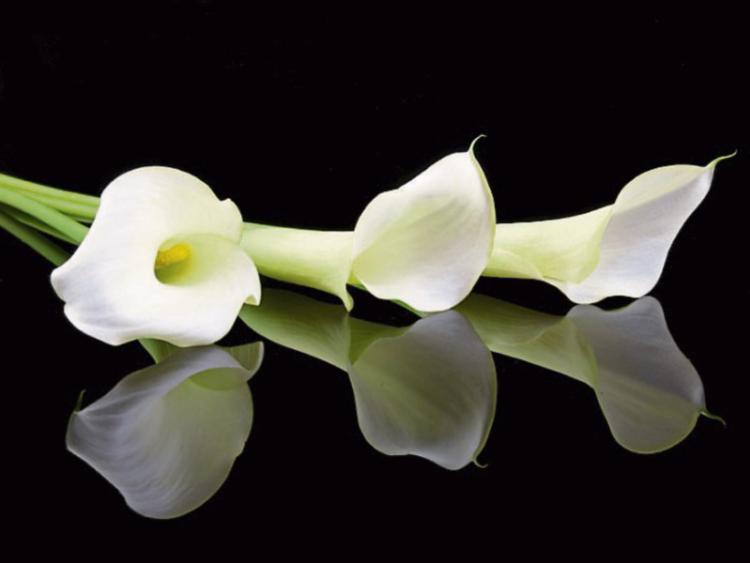 Deaths in Tipperary - Wednesday, November 21, 2018