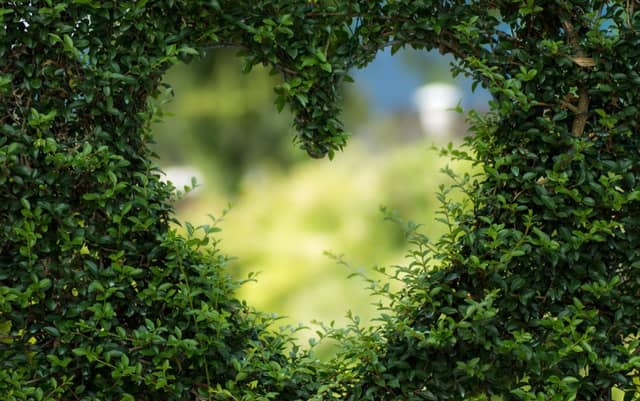 BBC Presenter Nick Bailey lands in Carlow to talk all things gardening