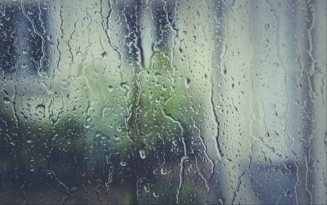 CARLOW WEATHER: Showers will become isolated towards the end of the day