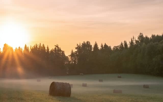 CARLOW WEATHER: Mainly dry today with some cloud and fog patches possible