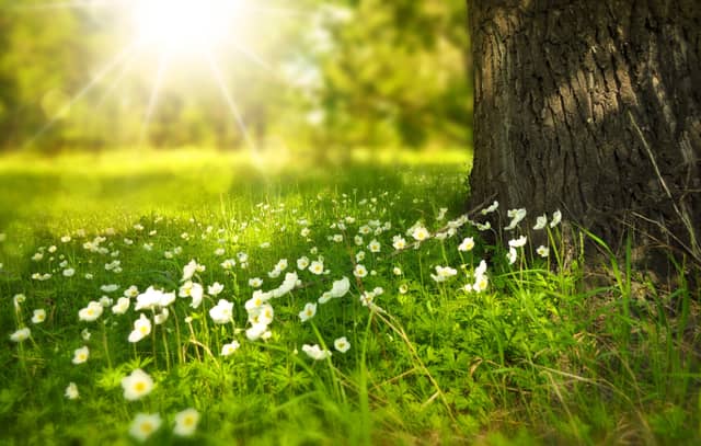 CARLOW WEATHER: Mostly dry and sunny today with temperatures hitting 22 degrees