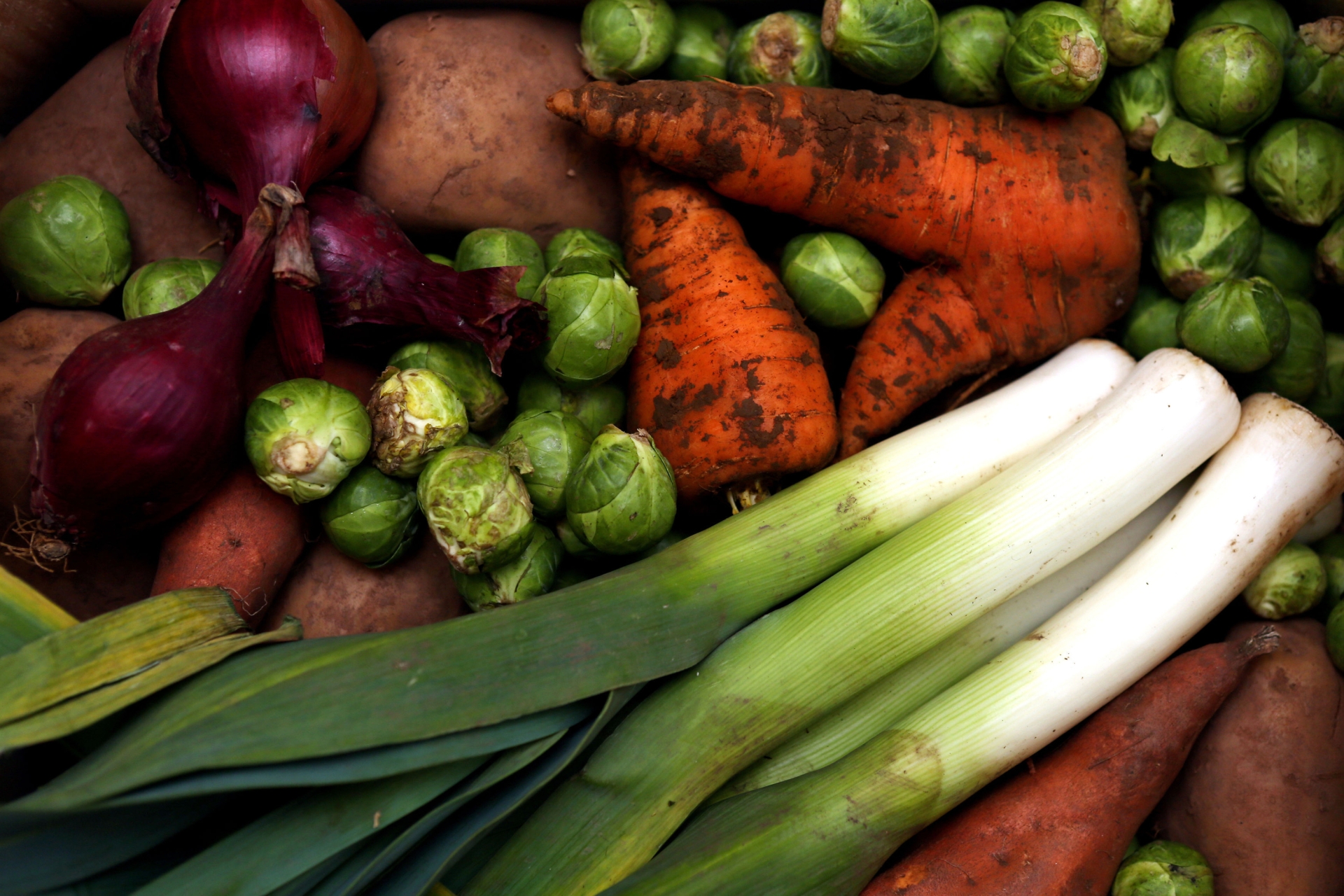 REVEALED: Where does Carlow rank on Ireland's vegetarian-friendly list?