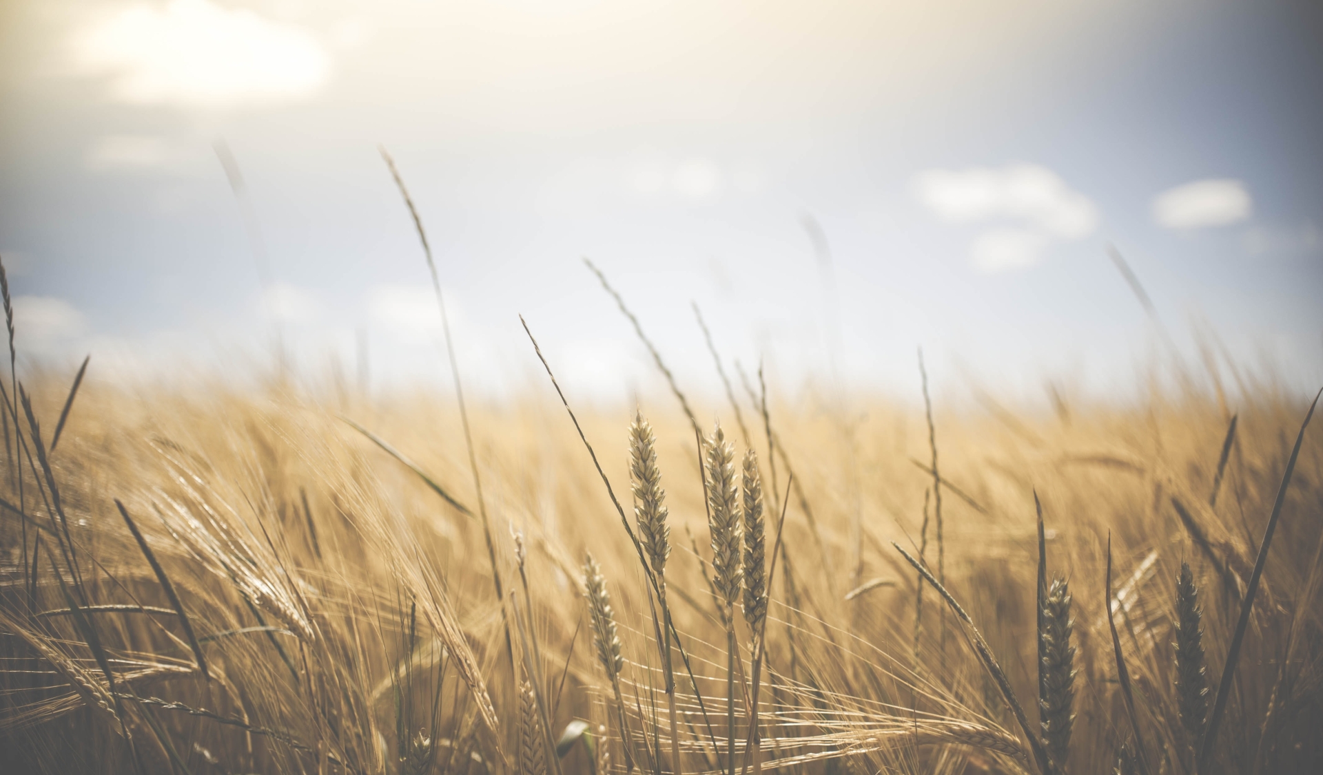 CARLOW WEATHER: Largely dry day with sunny spells expected