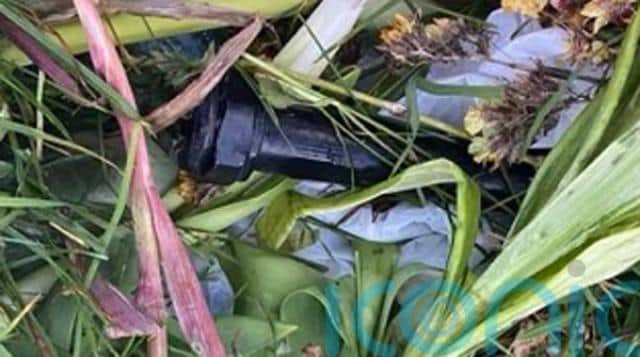It followed a republican parade in the city on Monday.