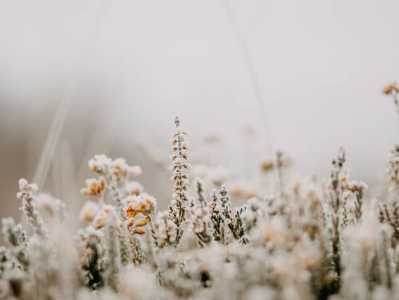 CARLOW WEATHER: Cold but dry this weekend with possible frost and ice in places