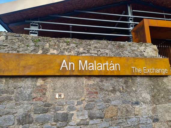 Photo: Carlow Market