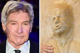 “Pan Solo” - A 6ft bread sculpture of the Star Wars hero played by Harrison Ford, as he appeared after being frozen in carbonite in The Empire Strikes Back.