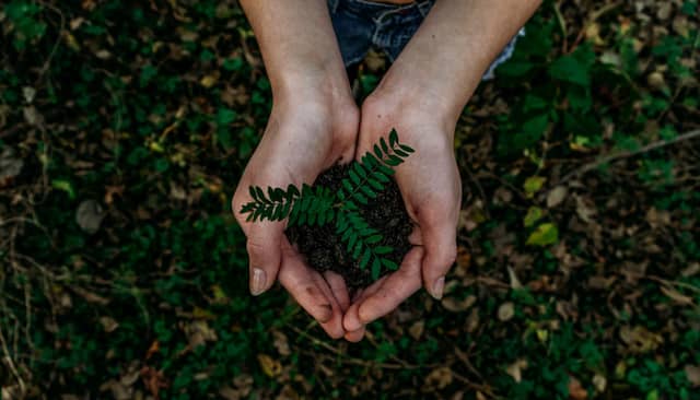 The Climate Ready Academy Sustainability Reporting Masterclass will take place virtually via Zoom on Thursday July 28, from 1pm to 2pm