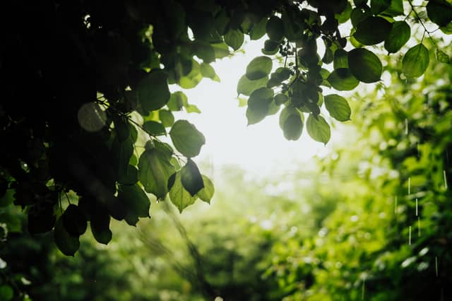 CARLOW WEATHER: Mainly dry and sunny today with heavy rain expected later
