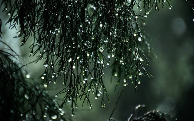 CARLOW WEATHER: A wet and windy weekend ahead as status yellow rainfall warning issued