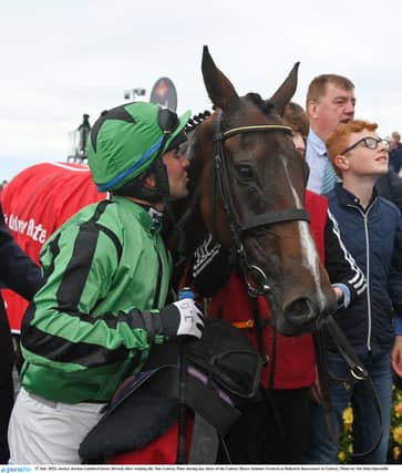 Hewick, who was purchased for a cheap €850, will target a Gold Cup win next March alongside owner TJ McDonald and trainer Hanlon.
