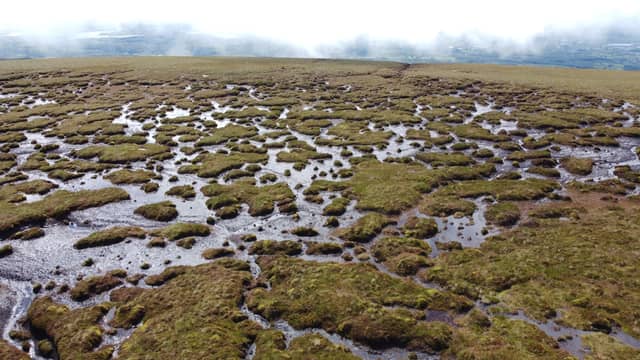 Bog on Sliabh an Iarainn